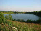 173-7366_IMG.JPG (52043 bytes)
