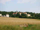 174-7426_IMG.JPG (34836 bytes)